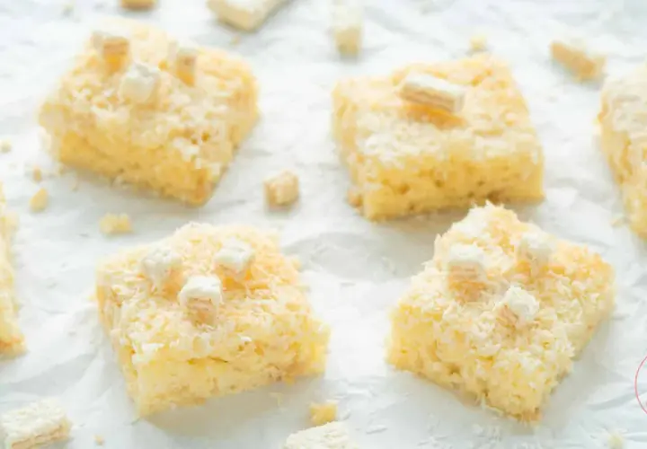 Saftiger kokos buttermilch kuchen, bestreut mit Kokosraspeln und kleinen Keksstückchen. Ein Genuss für jeden Kaffeetisch!
