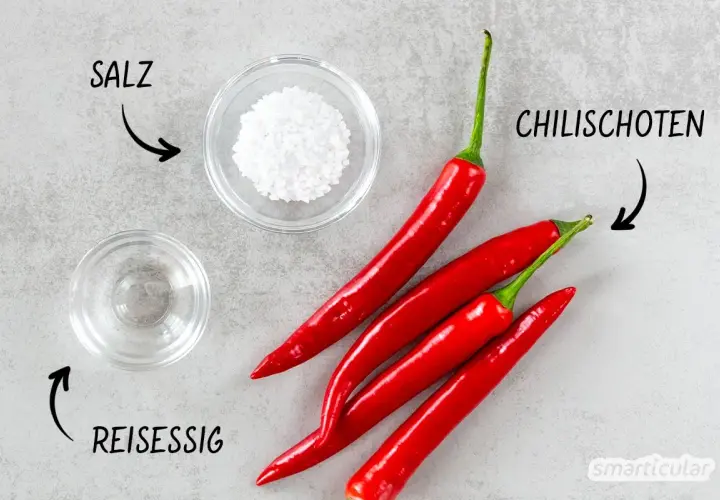 Zutaten für ein Sambal Oelek Rezept: rote Chilischoten, Salz und Reisessig.