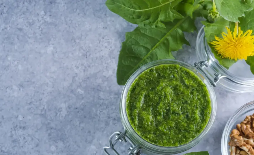 Pesto haltbar machen - so bleibt es frisch und sicher