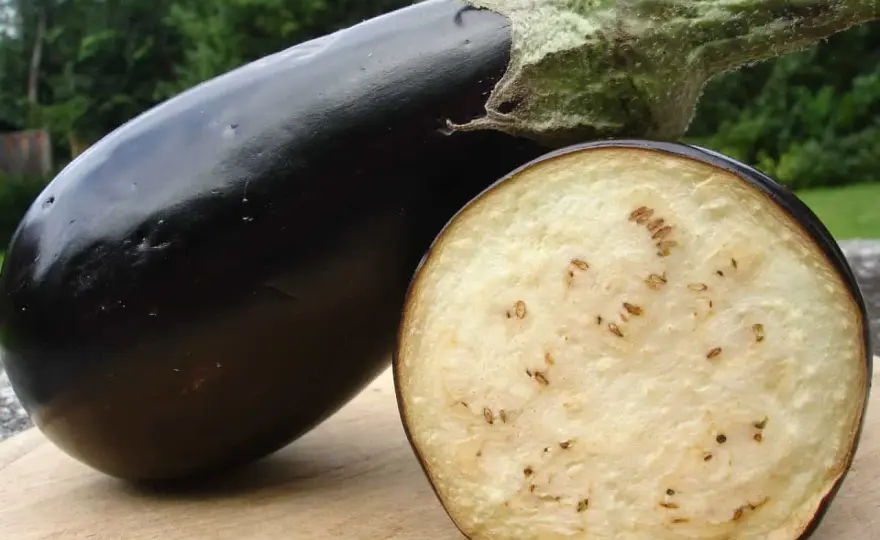 Aubergine mit schwarzen Punkten - noch essbar oder weg?