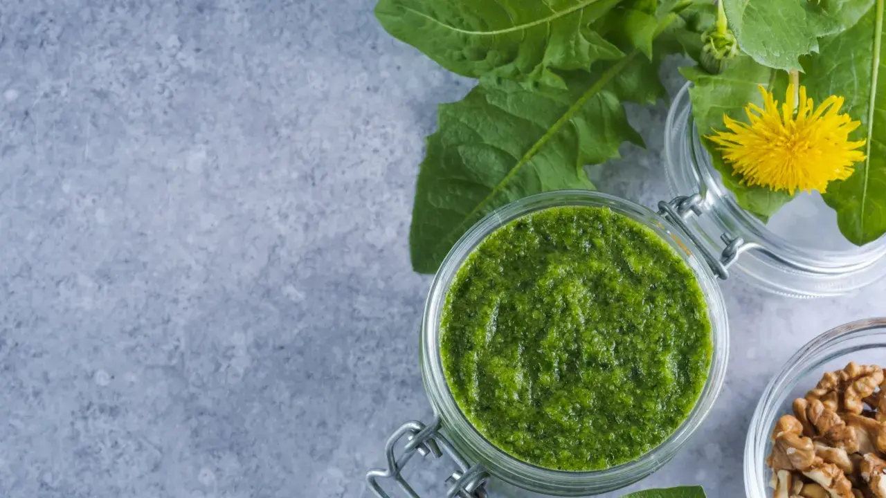 Frisches Löwenzahnpesto im Glas, bereit zum pesto haltbar machen. Daneben Walnüsse und Löwenzahnblüten.
