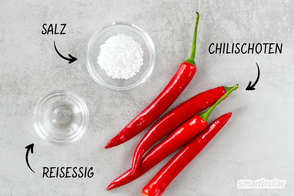 Zutaten für ein Sambal Oelek Rezept: rote Chilischoten, Salz und Reisessig.