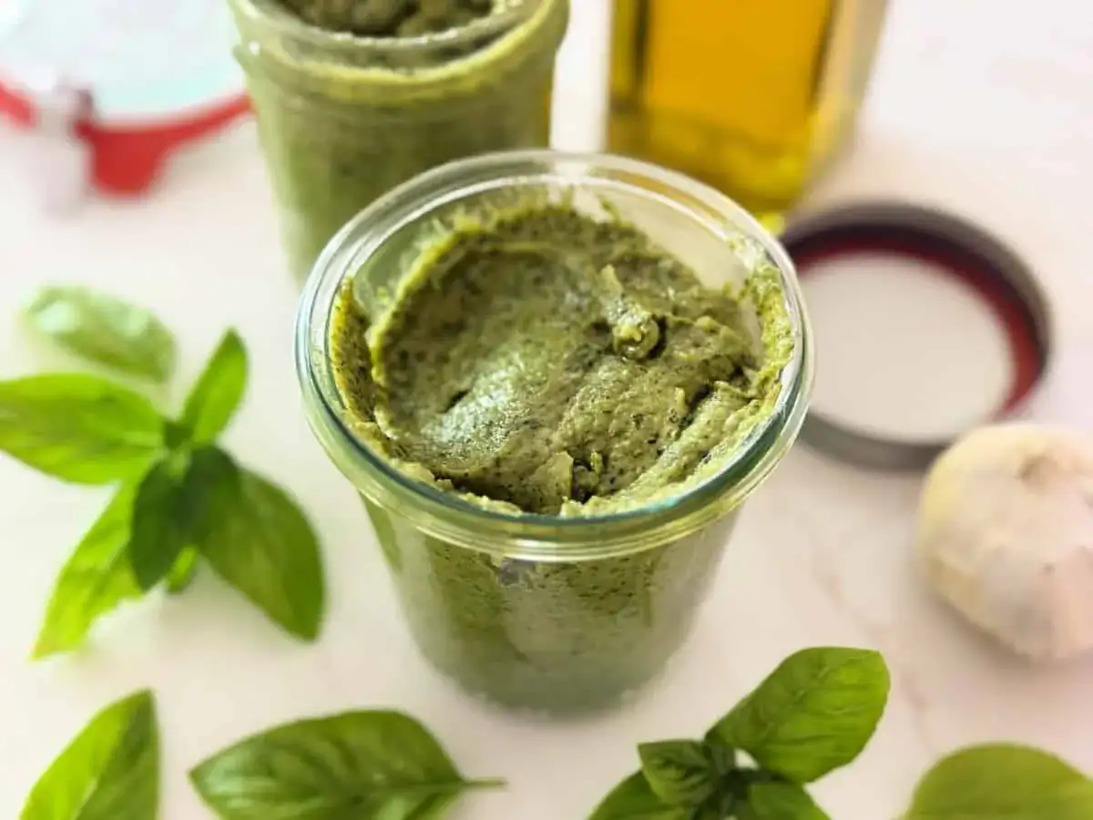 Frisches Pesto in Gläsern, bereit zum haltbar machen. Basilikum, Knoblauch und Olivenöl sind die Zutaten für dieses grüne Gold.